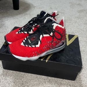lebron 17 basketball shoes